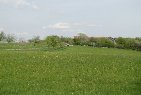 Der Hof im Frühling