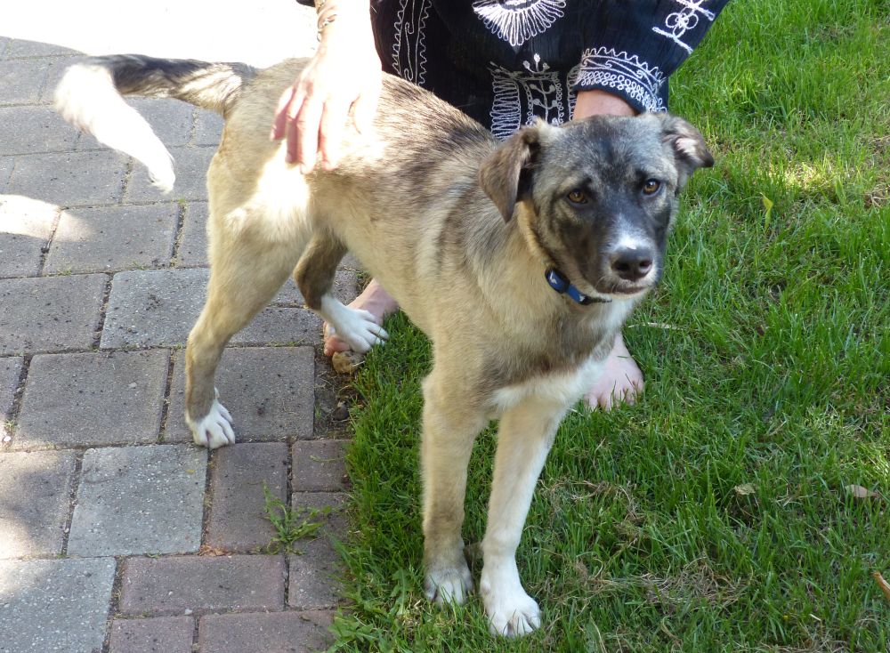 Vermittelt – Taifun