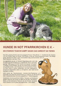 Flyer Vereinsvorstellung