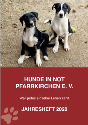 Mod græsplæne Stadion Downloads – Hunde in Not Pfarrkirchen e. V.